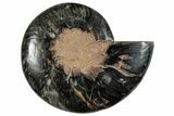 Cut & Polished Ammonite Fossil (Half) - Unusual Black Color #286653-1